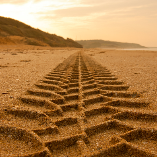 Beach Driving Guide: How To Drive On Sand And Not Get Stuck